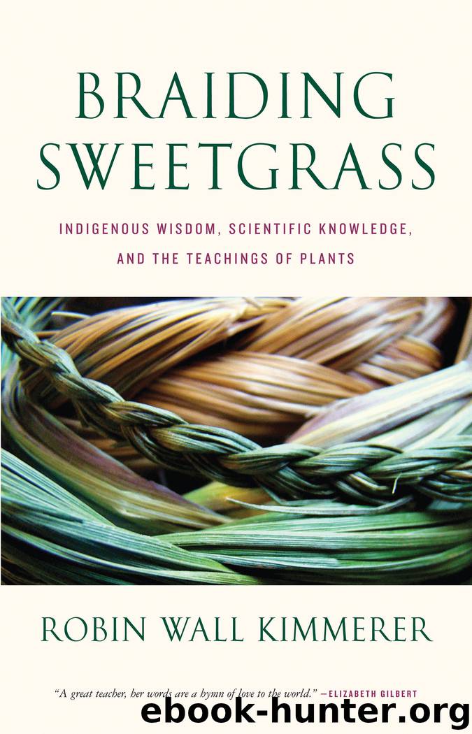 Amazon.com: Braiding Sweetgrass: Indigenous Wisdom, Scientific.